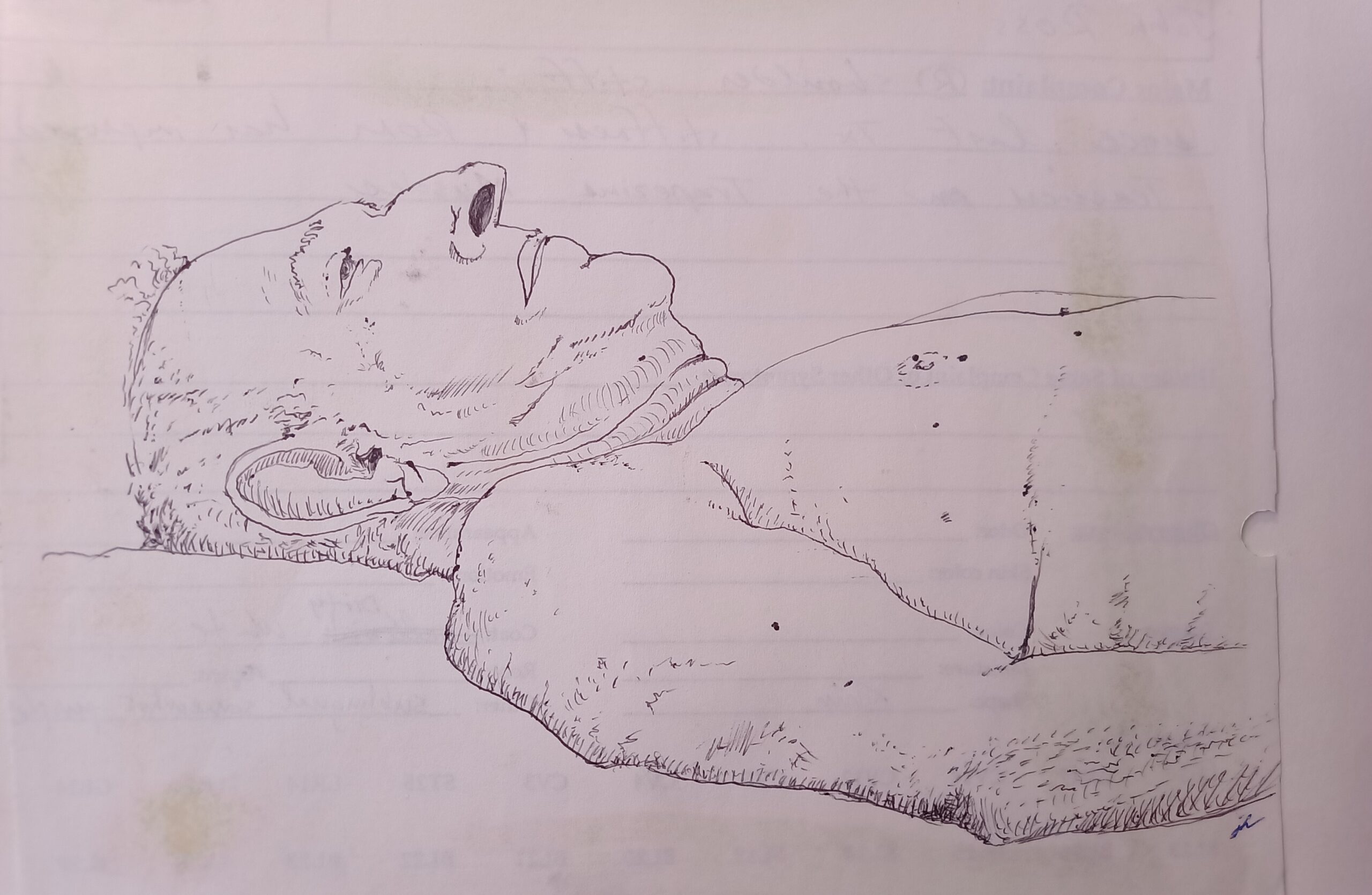 The Draw of the One Fix